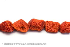 珊瑚