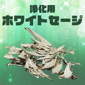 ホワイトセージ